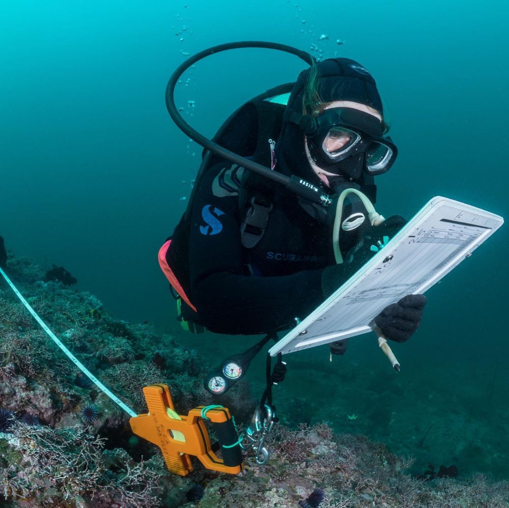 Marine Research and Assessment